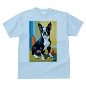 {XgeA TVc  j[NfUCfB[X t@  t vg lJWA 킢 lԗp Mtg I ҏ΍ {[ {XgeA 