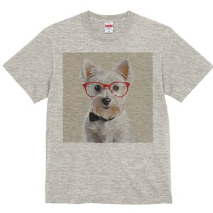 EGXgnChzCgeA TVc  j[NfUCfB[X t@  t vg lJWA 킢 lԗp Mtg I ҏ΍ Kl EGXgnC