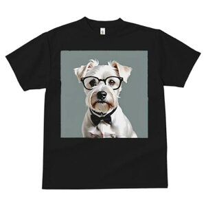 ~j`AViEU[ TVc  j[NfUCfB[X t@  t vg lJWA 킢 lԗp Mtg I ҏ΍ Kl ~j`AViEU[ 