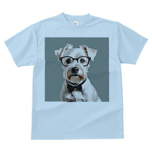 ~j`AViEU[ TVc  j[NfUCfB[X t@  t vg lJWA 킢 lԗp Mtg I ҏ΍ Kl ~j`AViEU[ 