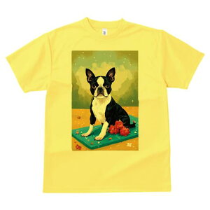 {XgeA TVc  j[NfUCY LbY t@  t vg lJWA 킢 lԗp Mtg I ҏ΍  {XgeA K}bg