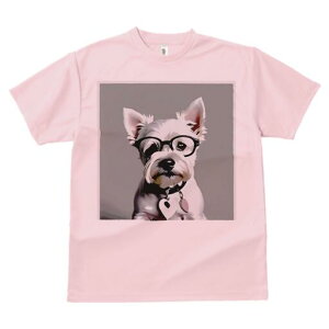 EGXgnChzCgeA TVc  j[NfUCY LbY t@  t vg lJWA 킢 lԗp Mtg I ҏ΍ Kl EGXgn