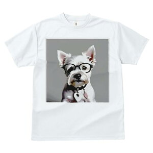 EGXgnChzCgeA TVc  j[NfUCfB[X t@  t vg lJWA 킢 lԗp Mtg I ҏ΍ Kl EGXgnC