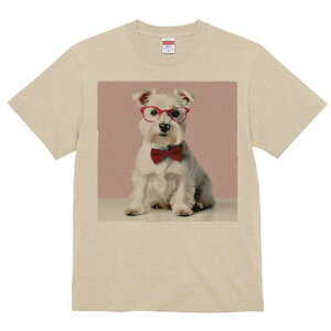 ~j`AViEU[ TVc  j[NfUCfB[X t@  t vg lJWA 킢 lԗp Mtg I ҏ΍ Kl ~j`AViEU[ 