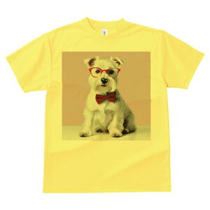 ~j`AViEU[ TVc  j[NfUCfB[X t@  t vg lJWA 킢 lԗp Mtg I ҏ΍ Kl ~j`AViEU[ 