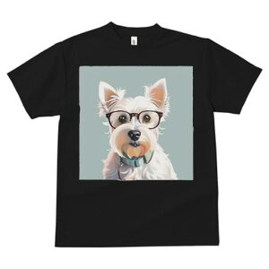 EGXgnChzCgeA TVc  j[NfUCfB[X t@  t vg lJWA 킢 lԗp Mtg I ҏ΍ Kl EGXgnC