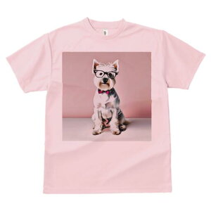 EGXgnChzCgeA TVc  j[NfUCfB[X t@  t vg lJWA 킢 lԗp Mtg I ҏ΍ Kl EGXgnC