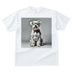 ~j`AViEU[ TVc  j[NfUCfB[X t@  t vg lJWA 킢 lԗp Mtg I ҏ΍ Kl ~j`AViEU[ 