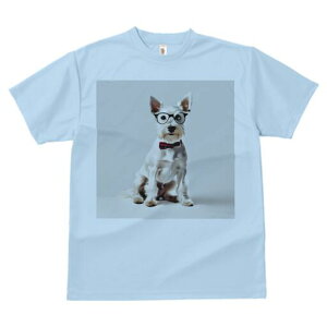 EGXgnChzCgeA TVc  j[NfUCfB[X t@  t vg lJWA 킢 lԗp Mtg I ҏ΍ Kl EGXgnC