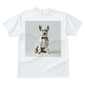 EGXgnChzCgeA TVc  j[NfUCfB[X t@  t vg lJWA 킢 lԗp Mtg I ҏ΍ Kl EGXgnC