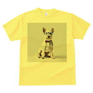 EGXgnChzCgeA TVc  j[NfUCfB[X t@  t vg lJWA 킢 lԗp Mtg I ҏ΍ Kl EGXgnC