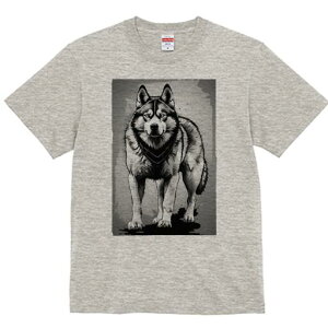 nXL[ TVc  j[NfUCfB[X t@  t vg lJWA 킢 lԗp Mtg I ҏ΍ nXL[