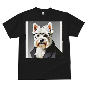 EGXgnChzCgeA TVc  j[NfUCY LbY t@  t vg lJWA 킢 lԗp Mtg I ҏ΍ Kl EGXgn