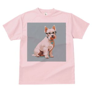 EGXgnChzCgeA TVc  j[NfUCfB[X t@  t vg lJWA 킢 lԗp Mtg I ҏ΍ Kl EGXgnC