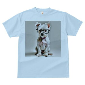 }`[Y TVc  j[NfUCfB[X t@  t vg lJWA 킢 lԗp Mtg I ҏ΍ Kl }`[Y