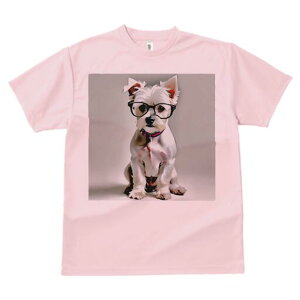 }`[Y TVc  j[NfUCfB[X t@  t vg lJWA 킢 lԗp Mtg I ҏ΍ Kl }`[Y