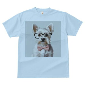 EGXgnChzCgeA TVc  j[NfUCfB[X t@  t vg lJWA 킢 lԗp Mtg I ҏ΍ Kl EGXgnC