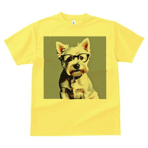 EGXgnChzCgeA TVc  j[NfUCY LbY t@  t vg lJWA 킢 lԗp Mtg I ҏ΍ Kl EGXgn