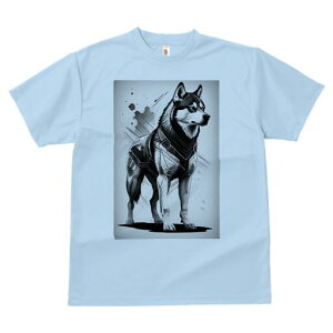 nXL[ TVc  j[NfUCfB[X t@  t vg lJWA 킢 lԗp Mtg I ҏ΍ nXL[