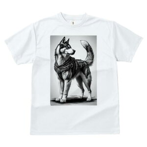 VxAnXL[ TVc  j[NfUCfB[X t@  t vg lJWA 킢 lԗp Mtg I ҏ΍ n[lX VxAnXL[ mN