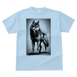 VxAnXL[ TVc  j[NfUCfB[X t@  t vg lJWA 킢 lԗp Mtg I ҏ΍ VxAnXL[