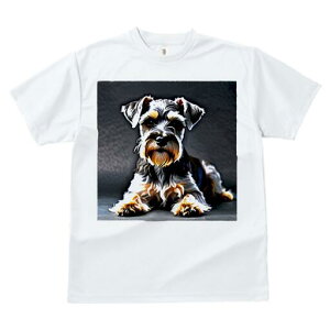 ~j`AViEU[ TVc  j[NfUCfB[X t@  t vg lJWA 킢 lԗp Mtg I ҏ΍ ~j`AViEU[