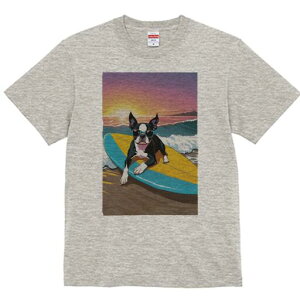 {XgeA TVc  j[NfUCfB[X t@  t vg lJWA 킢 lԗp Mtg I ҏ΍ T[tB {XgeA C r[` [