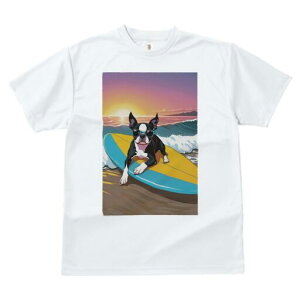 {XgeA TVc  j[NfUCfB[X t@  t vg lJWA 킢 lԗp Mtg I ҏ΍ T[tB {XgeA C r[` [