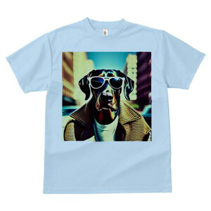 h[x} TVc  j[NfUCfB[X t@  t vg lJWA 킢 lԗp Mtg I ҏ΍ TOX h[x} WPbg Z[^