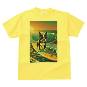 {XgeA TVc  j[NfUCfB[X t@  t vg lJWA 킢 lԗp Mtg I ҏ΍ g {XgeA C T[tB TO