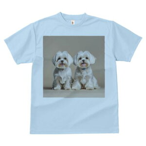 }`[Y TVc  j[NfUCfB[X t@  t vg lJWA 킢 lԗp Mtg I ҏ΍ }`[Y