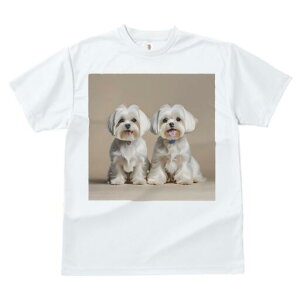 }`[Y TVc  j[NfUCfB[X t@  t vg lJWA 킢 lԗp Mtg I ҏ΍ }`[Y