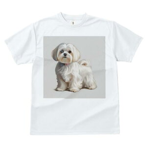 }`[Y TVc  j[NfUCfB[X t@  t vg lJWA 킢 lԗp Mtg I ҏ΍ ybg }`[Y  킢 D