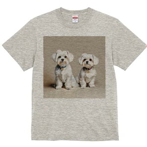 }`[Y TVc  j[NfUCfB[X t@  t vg lJWA 킢 lԗp Mtg I ҏ΍ }`[Y