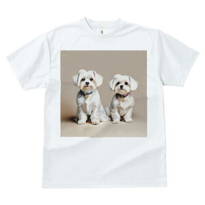 }`[Y TVc  j[NfUCfB[X t@  t vg lJWA 킢 lԗp Mtg I ҏ΍ }`[Y