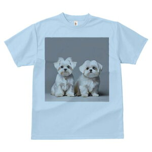 }`[Y TVc  j[NfUCfB[X t@  t vg lJWA 킢 lԗp Mtg I ҏ΍ }`[Y