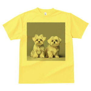 }`[Y TVc  j[NfUCfB[X t@  t vg lJWA 킢 lԗp Mtg I ҏ΍ }`[Y