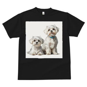 }`[Y TVc  j[NfUCfB[X t@  t vg lJWA 킢 lԗp Mtg I ҏ΍  }`[Y