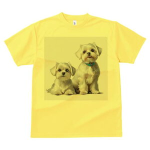 }`[Y TVc  j[NfUCfB[X t@  t vg lJWA 킢 lԗp Mtg I ҏ΍  }`[Y