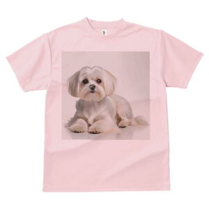 }`[Y TVc  j[NfUCfB[X t@  t vg lJWA 킢 lԗp Mtg I ҏ΍ }`[Y