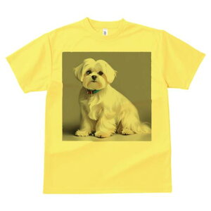 }`[Y TVc  j[NfUCfB[X t@  t vg lJWA 킢 lԗp Mtg I ҏ΍ }`[Y