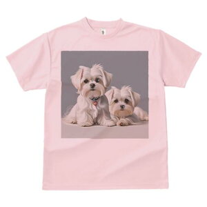 }`[Y TVc  j[NfUCfB[X t@  t vg lJWA 킢 lԗp Mtg I ҏ΍ }`[Y