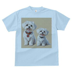 }`[Y TVc  j[NfUCfB[X t@  t vg lJWA 킢 lԗp Mtg I ҏ΍ pANZT[ }`[Y