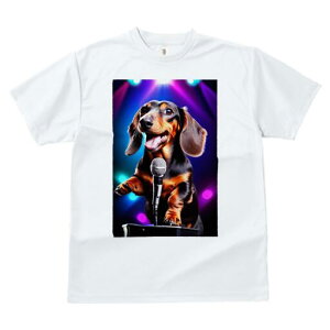 _bNXth TVc  j[NfUCfB[X t@  t vg lJWA 킢 lԗp Mtg I ҏ΍ }CN _bNXth X|bgCg X