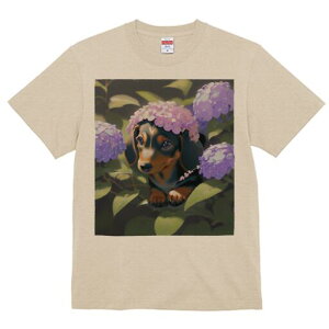 _bNXth TVc  j[NfUCY LbY t@  t vg lJWA 킢 lԗp Mtg I ҏ΍ AWTC _bNXth 