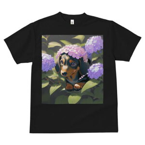 _bNXth TVc  j[NfUCfB[X t@  t vg lJWA 킢 lԗp Mtg I ҏ΍ AWTC _bNXth 