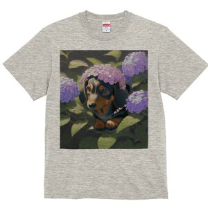 _bNXth TVc  j[NfUCfB[X t@  t vg lJWA 킢 lԗp Mtg I ҏ΍ AWTC _bNXth 