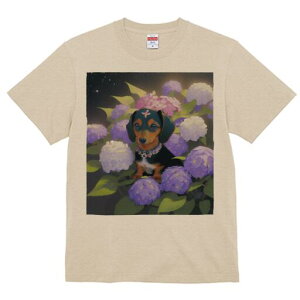 _bNXth TVc  j[NfUCfB[X t@  t vg lJWA 킢 lԗp Mtg I ҏ΍ AWTC _bNXth  lbNX