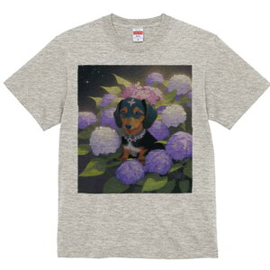 _bNXth TVc  j[NfUCY LbY t@  t vg lJWA 킢 lԗp Mtg I ҏ΍ AWTC _bNXth  lbNX