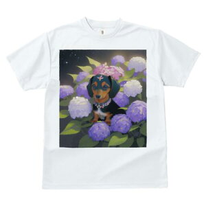 _bNXth TVc  j[NfUCY LbY t@  t vg lJWA 킢 lԗp Mtg I ҏ΍ AWTC _bNXth  lbNX